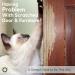 PROTECTO 18x12 Door Protector - Premium Cat Scratch Pad for Furniture & Door Frame Protection - Durable Clear Cover for Interior & Exterior Use - Buy Online on GoSupps.com