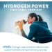 HTWO Molecular Hydrogen Water Tablets for Drinking 30 Count Water Enhancer with 80mg Magnesium for Hydration Antioxidant Support for Recovery & Cognitive Function Unflavored 12 ppm - Buy Online on GoSupps.com