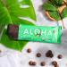 ALOHA Organic Plant Based Protein Bars  Chocolate Mint  1.98 Oz (Pack of 12) - Buy Online on GoSupps.com