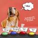 Dog Communication Buttons: Teach, Train, Connect & Have Fun with Talking Pet Button Set - Buy Online on GoSupps.com