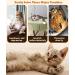 GIAPINST Interactive Cat Feather Toy with Bell - Suction Cup Teaser Wand for Indoor Cats. Ideal for Kitten Training, Play and Exercise - Brown - Buy Online on GoSupps.com