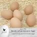 Queen Ceramic Chicken Nest Eggs - 6 Pack Brown for Nest Box Training - Buy Online on GoSupps.com