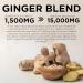 Earth BOTANIC Organic Ginger Root Extract 1500mg | High Strength 10:1 Concentrated Ginger Supplement | 120 Vegan Capsules | Non-GMO Gluten-Free | Ginger Root Capsules for Daily Wellness - Buy Online on GoSupps.com