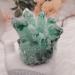 Home Decoration Large Size Green Ghost Phantom Quartz Crystal Cluster Specimen 1pcs Stones (Size : 400-500g) - Buy Online on GoSupps.com