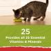 Purina Cat Chow Naturals Original with Real Chicken & Salmon, 13 lb - Adult Dry Cat Food - Buy Online on GoSupps.com