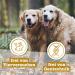 100% Beef Mini Dogeleckerli 70g - Hypoallergenic Grain-Free Air-Dried Meat Strips for Small Dogs - Buy Online on GoSupps.com