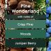 Glade Pine Wonderland 3-Wick Candle 6.8oz 3 Pack - Infused with Essential Oils - Buy Online on GoSupps.com