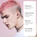 Loop Experience 2 Ear Plugs - Rose - Buy Online on GoSupps.com