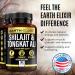 Earth Elixir Shilajit & Tongkat Ali Capsules (180ct) - Made in USA - 1000mg Shilajit with 20% Fulvic Acid - Pure Himalayan Organic Supplement for Men - Buy Online on GoSupps.com