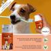 Moofurr Dog Toothpaste 75ml - Natural Beef Flavor Tartar Removal & Dental Care for Dogs - Daily Use - Buy Online on GoSupps.com