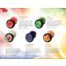 Vaadi Herbals Assorted Lip Balms 10g - Pack of 5 | Moisturizing Lip Care Set - Buy Online on GoSupps.com