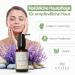 ANISSA Natural Cosmetics Body Oil 100 ml for sensitive skin activation oil regenerates and nourishes without parabens and animal testing vegan & Made in Germany 100 natural - Buy Online on GoSupps.com
