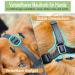 Breathable Mesh Dog Muzzle - Adjustable Sizes for Large Medium & Small Breeds | Black XL - Anti-Biting & Chewing Solution - Buy Online on GoSupps.com