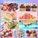 Fankoo Food Coloring - 12 Highly Concentrated Colors (12ml Each) for Baking Dough Drinks Soaps & Slime | Premium Tortendekor Accessories - Buy Online on GoSupps.com
