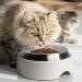 CatGuru Whisker Stress-Free Cat Food Bowl - Non-Slip Shallow Stainless Steel Dish - Buy Online on GoSupps.com