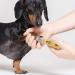 CONAIRPRO Corded Nail Grinder for Dogs and Cats - Professional Pet Nail Trimming Tool - Buy Online on GoSupps.com