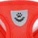 Zunea No Pull Dog Harness for Small Dog Reflective Breathable Soft Mesh Padded Step-in Vest Harness Leash Set Puppy Girl Dog Cat Lead for Daily Walking Running Training - (Red S) S (Pack of 1) red - Buy Online on GoSupps.com