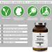 Qidosha Acetyl L-Carnitine Capsules 500mg - Vegan Bioactive High Bioavailability - 120 Capsules - Made in Germany - Buy Online on GoSupps.com