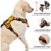 Nestroad Orange Dog Harness for Medium-Sized Dogs | Anti-Draw Padded Safety Belt | Neck 33-43cm Chest 43-64cm - Buy Online on GoSupps.com