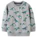 Boys Sweatshirt for Kids Dinosaur Jumper Cotton Casual Top Long Sleeve Pullover T-Shirt Toddler Girls Shirts Baby Clothes 1-8 Years 4-5 Years Grey