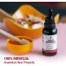 BEE and YOU Propolis Pure Liquid Extract with Honey 500 mg Bee Propolis per serving Ultra Plus Potency - Zero Sugar - Zero Calorie - Supports Healthy Immune System - Sore Throat Relief - Antioxidants Keto Paleo Gluten-Free 1 Fl Oz (1 Pack) Ultra Potency - Buy Online on GoSupps.com