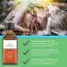 Organic Oat Oil by Au Natural Organics | Anti Aging Antioxidant Oil for Face, Body, Hair, Nails | Rich in Saponins, Vitamin E, Omega-3 & Omega-6 | 3.4 Fl Oz - Buy Online on GoSupps.com