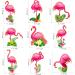 Tropical Flamingo Cupcake Toppers - Buy Online on GoSupps.com