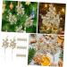 COOPHYA 20pcs artificial berry picks christmas tree Accessories decorate berry christmas artificial plant flower garland cutting Christmas berry branch crafts christmas berries artificial Golden 19X5X5CM - Buy Online on GoSupps.com