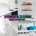 Eco Family Anti-bacterial Cleaning Tablets Refill (6x 8g) | Ocean Fresh & Lavender Scent | Non-Toxic, Eco-Friendly & Cruelty-Free - Buy Online on GoSupps.com