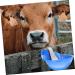 Beavorty Farm Feeding Water Bowl Dog Water Bowl Dispenser Cow Farm Feeder Drinking Bowl Poultry Automatic - Buy Online on GoSupps.com