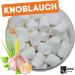 Zite Fishing Troutmallows - Intense Flavor Marshmallow Bait for Trout - 40g - Perfect for Mixing with Garlic & Natural Baits - Buy Online on GoSupps.com