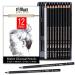 Galart Supplies Charcoal Drawing Set   12 Pieces Pre-Sharped Soft  Medium  Hard and White Charcoal Pencils for Drawing with Organizer Tray  Shading and Sketching for Artists and Beginners