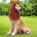 CPPSLEE Lion Mane Dog Costume - Realistic Lion Wig for Medium to Large Dogs - Buy Online on GoSupps.com