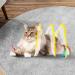 Folded Cat Tunnel for Indoor Cats Cat Tunnels Cat Tube Tunnel with Feather Mouse Toys Puppy Kitten Playing Tent Upgrade Collapsible Cat Tube Tunnel Cat Springs Exercise Toys - Buy Online on GoSupps.com