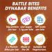 Battle Bites Dynabar High Protein Bars - Chocolate Hazelnut Flavour - 12 x 60g, Low Sugar, Non-GMO, Vegetarian - 18g Protein, 219 Calories Per Bar - 12 Count Pack - Buy Online on GoSupps.com