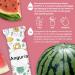 Wowter by AMZ Better | Sugar-Free Watermelon Beverage Powder - 24 Bags 96g | GMO-Free Gluten-Free Made in Italy - Buy Online on GoSupps.com