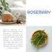 Organic Rosemary Essential Oil for Aromatherapy & Hair Growth | 4oz | Pure Essential Oil for Diffusers & Skin Care - Buy Online on GoSupps.com