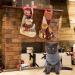Jnancun Cat Turtleneck Sweater | Sleeveless Knitted Winter Clothes for Cats & Small Dogs - Medium Grey - Buy Online on GoSupps.com