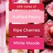 Glade Automatic Spray Refill - Blooming Peony & Cherry Air Freshener for Home & Bathroom - 6.2 Oz | International Shipping Available - Buy Online on GoSupps.com