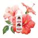 OKAY Coconut Hibiscus Conditioner - Hydrate & Strengthen All Hair Types | Paraben-Free Silicone-Free Sulfate-Free | 12 oz - Buy Online on GoSupps.com