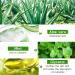Aloe Vera Peel Off Blackhead Remover Mask - Whitehead Removal & Oil Control - 2 Piece Set - Buy Online on GoSupps.com