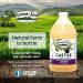 Vermont Castile Soap Lavender 64 Oz - Gentle Liquid Soap & Natural Body Wash - Organic Shampoo for Oily Hair - Aloe Castile Soap for Men & Women - Buy Online on GoSupps.com