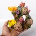 TAOMYPETS Coral Decor for Aquariums - Resin Coral Reef Ornaments | International Shipping - Buy Online on GoSupps.com