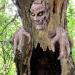 Unique Border Tree Ornament & Creative Bark Face Halloween Makeup Props - Buy Online on GoSupps.com