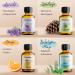 Woodfjord Lavender Sauna Infusion 100ml | Premium Organic Sauna Oil & Fragrance | Authentic & Sustainable Relaxation - Buy Online on GoSupps.com