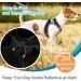 Small Puppy Dog Harness Set | Super Light No Pull Design | All Weather Comfort | Reflective | Black XXS Size - Buy Online on GoSupps.com
