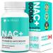 MAXIMUM POTENCY 600mg NAC Capsules (N-Acetyl-L-Cysteine) Supplement Powerful Antioxidant Glutathione Support Liver Support Vegan Gluten Free. 90 Easy to Swallow Capsules. 90 count (Pack of 1)