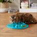 Amazon Basics Pet Activity Center and Feeder Blue - Buy Online on GoSupps.com
