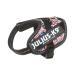 IDC Powerharness Size: 2XS/Baby 2 British Colors British Colors 2XS/Baby 2