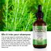 100% Pure Organic Rosemary Essential Oil for Hair Growth, Eyebrow and Eyelash Nourishment - 60ML - Buy Online on GoSupps.com